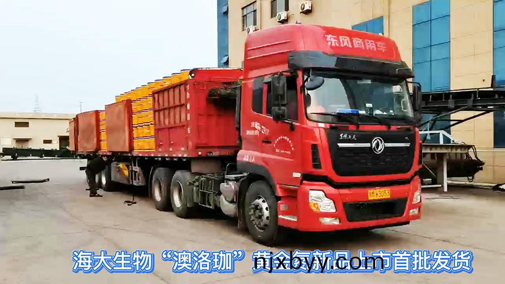 1海(hai)大生(sheng)物(wu)“澳洛珈”黃金(jin)氮新品上市首(shou)批髮(fa)貨-封麵(mian).jpg